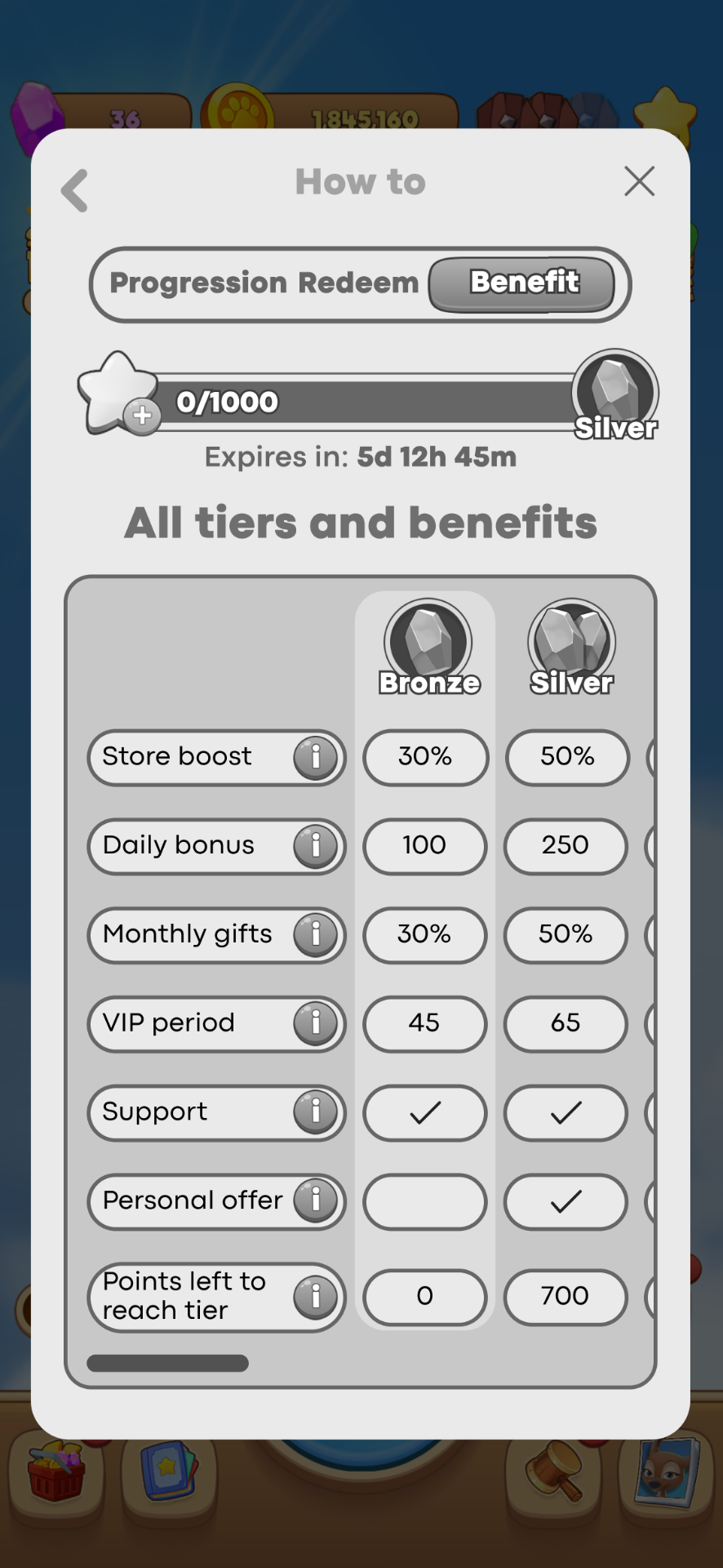 All tiers and benefits — Bronze and Silver compared side by side.