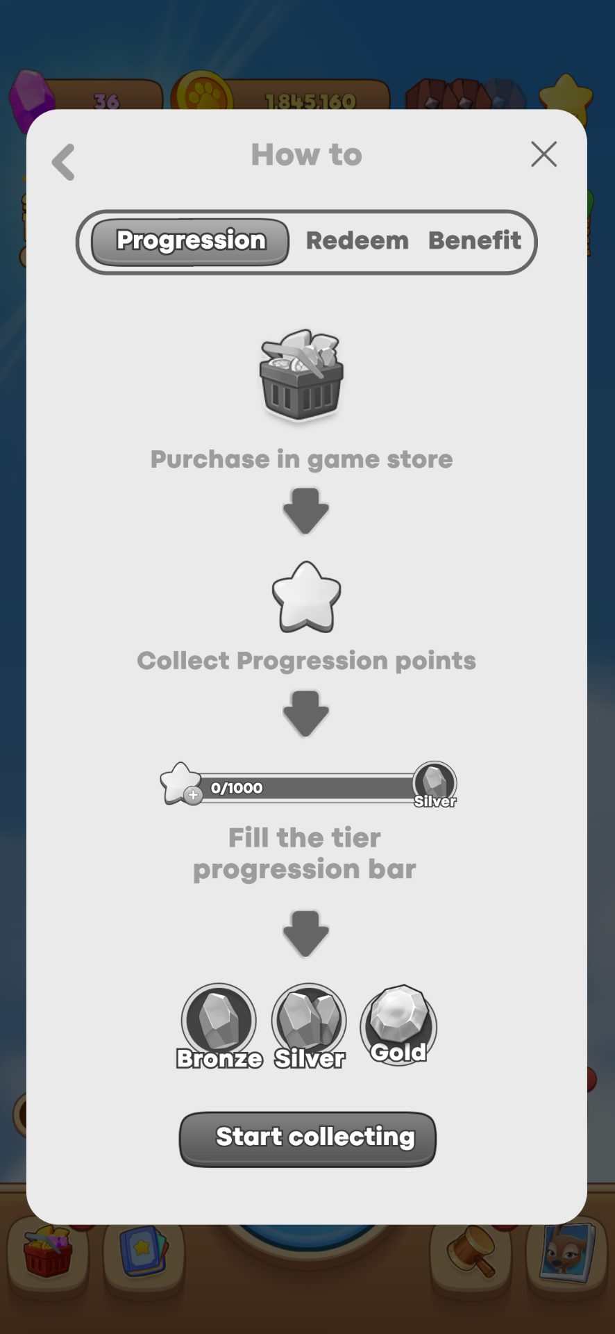 Early stage — rough black-and-white screen explaining how progression works, from purchase to tier.